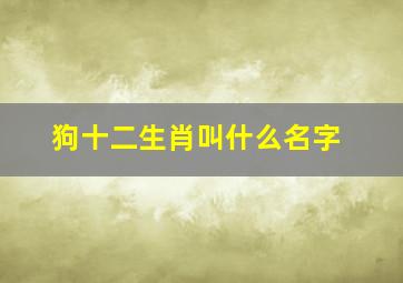 狗十二生肖叫什么名字