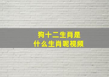 狗十二生肖是什么生肖呢视频