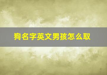 狗名字英文男孩怎么取