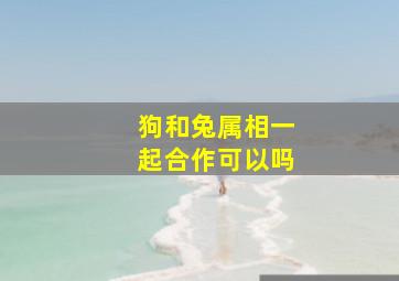 狗和兔属相一起合作可以吗