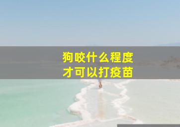 狗咬什么程度才可以打疫苗