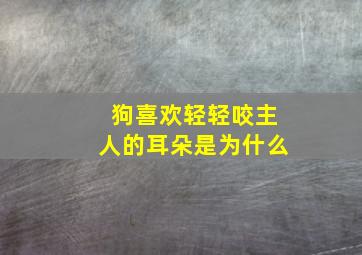 狗喜欢轻轻咬主人的耳朵是为什么