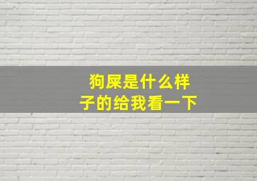 狗屎是什么样子的给我看一下