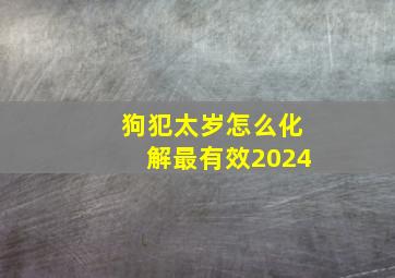 狗犯太岁怎么化解最有效2024