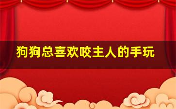 狗狗总喜欢咬主人的手玩