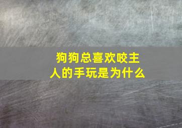 狗狗总喜欢咬主人的手玩是为什么