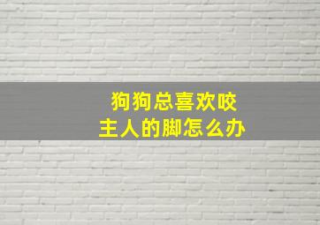 狗狗总喜欢咬主人的脚怎么办