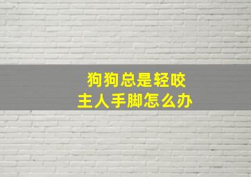 狗狗总是轻咬主人手脚怎么办