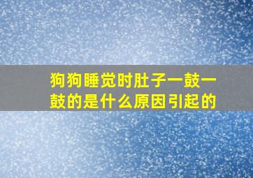 狗狗睡觉时肚子一鼓一鼓的是什么原因引起的