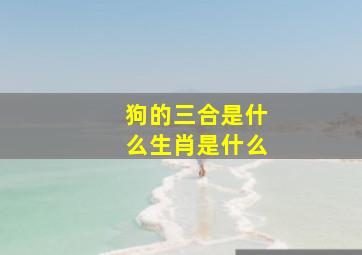 狗的三合是什么生肖是什么