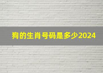 狗的生肖号码是多少2024