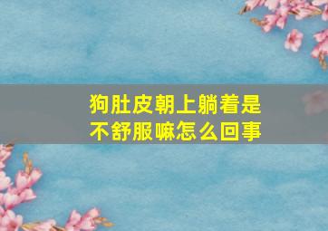 狗肚皮朝上躺着是不舒服嘛怎么回事