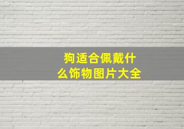 狗适合佩戴什么饰物图片大全