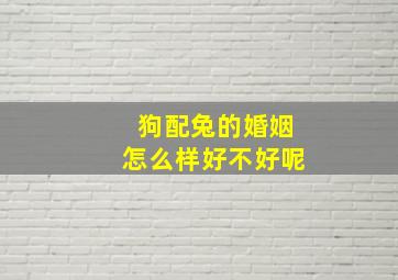 狗配兔的婚姻怎么样好不好呢