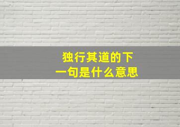 独行其道的下一句是什么意思