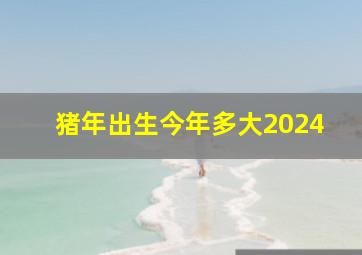 猪年出生今年多大2024