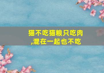 猫不吃猫粮只吃肉,混在一起也不吃