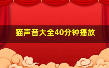 猫声音大全40分钟播放