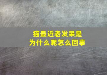 猫最近老发呆是为什么呢怎么回事