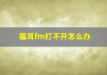 猫耳fm打不开怎么办