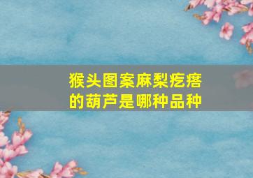 猴头图案麻梨疙瘩的葫芦是哪种品种