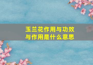 玉兰花作用与功效与作用是什么意思