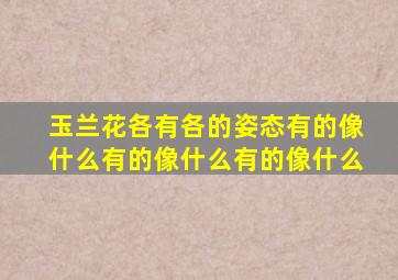 玉兰花各有各的姿态有的像什么有的像什么有的像什么