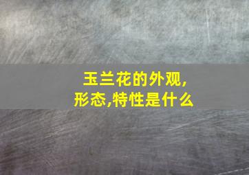 玉兰花的外观,形态,特性是什么