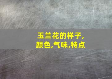 玉兰花的样子,颜色,气味,特点