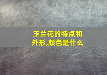 玉兰花的特点和外形,颜色是什么