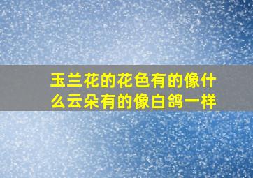 玉兰花的花色有的像什么云朵有的像白鸽一样