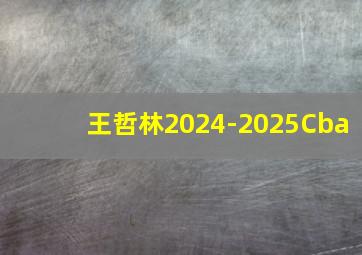 王哲林2024-2025Cba