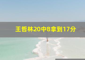 王哲林20中8拿到17分