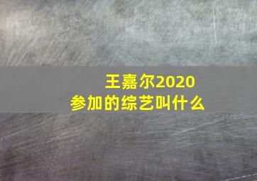 王嘉尔2020参加的综艺叫什么