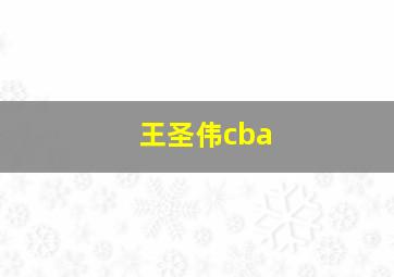 王圣伟cba