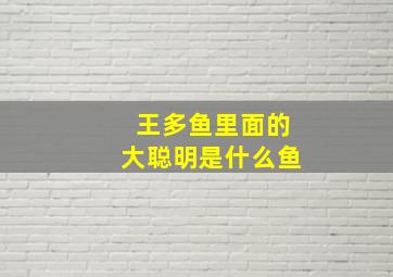 王多鱼里面的大聪明是什么鱼