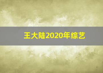 王大陆2020年综艺