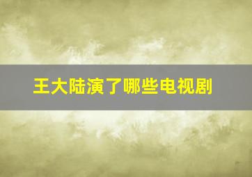 王大陆演了哪些电视剧