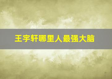 王宇轩哪里人最强大脑