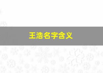 王浩名字含义