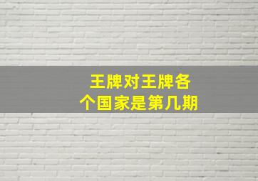 王牌对王牌各个国家是第几期