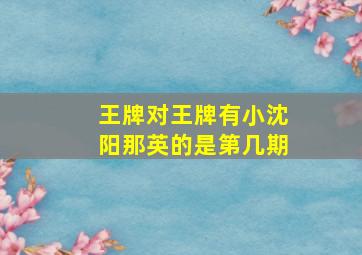 王牌对王牌有小沈阳那英的是第几期