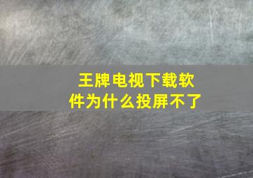 王牌电视下载软件为什么投屏不了