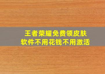 王者荣耀免费领皮肤软件不用花钱不用激活