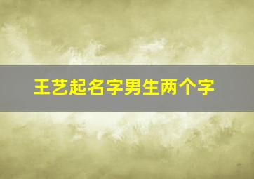 王艺起名字男生两个字