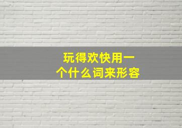 玩得欢快用一个什么词来形容