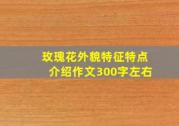 玫瑰花外貌特征特点介绍作文300字左右