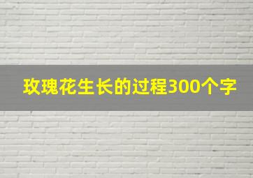 玫瑰花生长的过程300个字