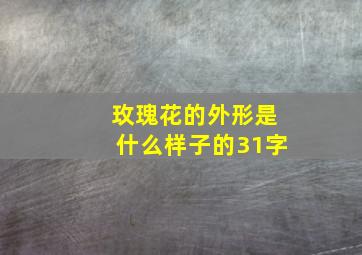 玫瑰花的外形是什么样子的31字