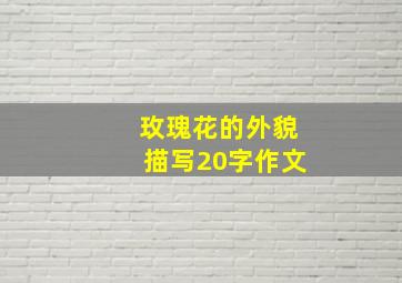 玫瑰花的外貌描写20字作文